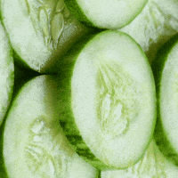 Weight Loss GIF by Just Healthy