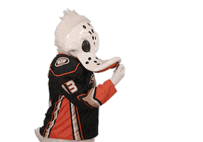 Ice Hockey Sticker by NHL