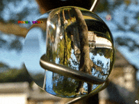 You Can Wow GIF by FranchiseONE.de