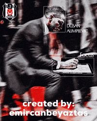 Dusan GIF