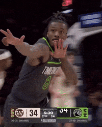 Celebration Nba GIF by Minnesota Timberwolves