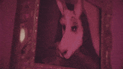 elephantHhart music animals edm elephantheart GIF