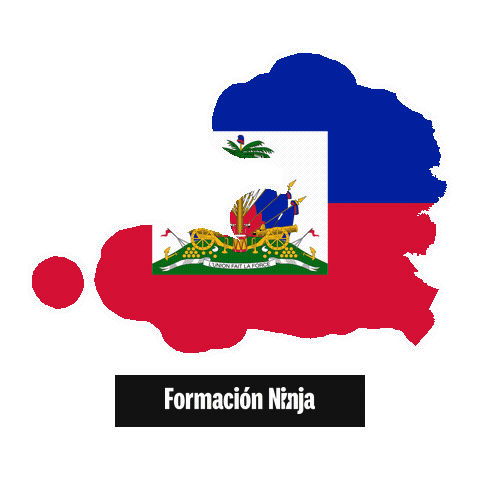 Haiti Flag Sticker by Formación Ninja