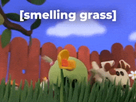 smelling grass