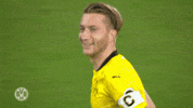 Borussia Dortmund Smile GIF