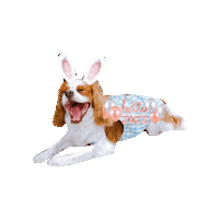 Happy Bunny Sticker