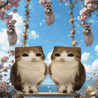 Good Morning GIF