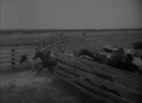 Vintage Throwback GIF by US National Archives
