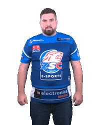 Happy Nhl Sticker by ZSC Esports