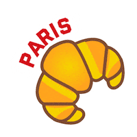 France Love Sticker by Team USA