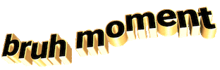 Bruh Moment Sticker by GIPHY Text