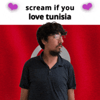 Tunisia Flag Tn GIF