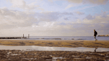 momentsofcolour summer travel beach sun GIF