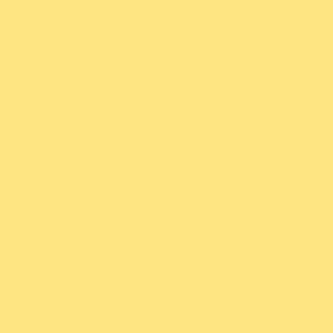 Content Bloom GIF by Bloomscroll