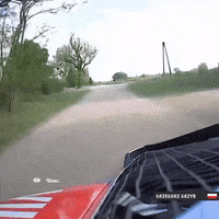 FIA-ERC racing speed tree driving GIF