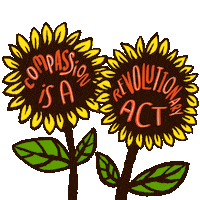 No War Israel Sticker by INTO ACTION