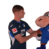 Sport Bundesliga Sticker by TSG Hoffenheim