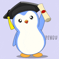 Graduating Class Of GIF by Pudgy Penguins