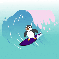 puffinsdotfun fun summer kawaii water GIF