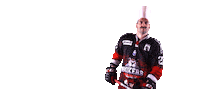 Ligue Magnus Sticker by Boxers de Bordeaux