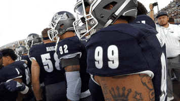 Football Unr GIF by Nevada Wolf Pack