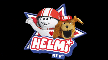 Hund Helm GIF by KFV