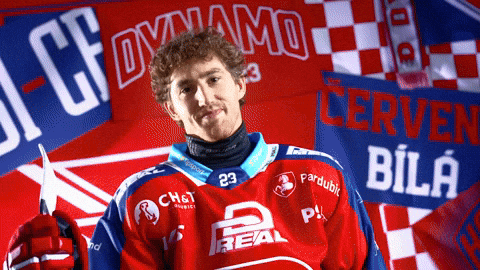 Hockeytown GIF by HC Dynamo Pardubice
