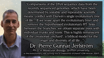 Tree Of Life University GIF