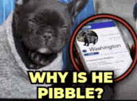 Pibble GIF