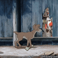 Dog GIF