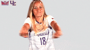 The Valley Mvc GIF by Missouri Valley Conference