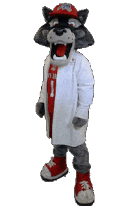 Stony Brook Sticker by Stony Brook University