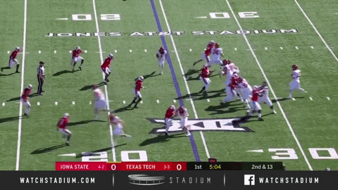 SchaufDS giphygifmaker GIF