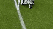 Great White GIF by ENDURANT TURF PAINT