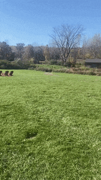 GIF by Ithaca Beer