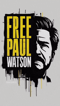 Paul Watson GIF by systaime