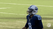 Tennessee Titans Football GIF by NFL
