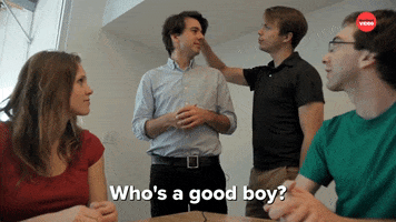 Good Boy Dog GIF by BuzzFeed