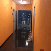 pelotari fronton GIF