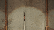 Willow GIF by Taylor Swift