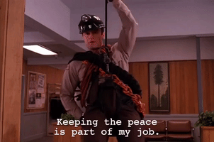season 2 GIF by Twin Peaks on Showtime