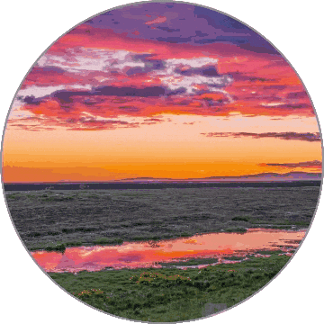 Natureza Sticker