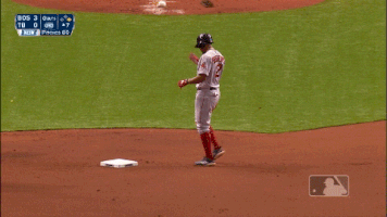 Red Sox Sport GIF by MLB