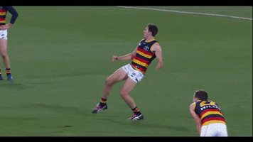 Afl Memories GIF by Adelaide Crows