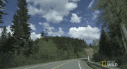 nat geo wild yukon vet GIF by Dr. Oakley, Yukon Vet