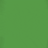 Elf On A Shelf Christmas GIF by BuzzFeed