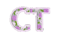 Mc Ct Sticker