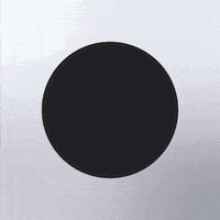 Rainbow Gay GIF by INTO ACTION