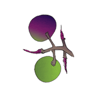 Texas Foraging Sticker