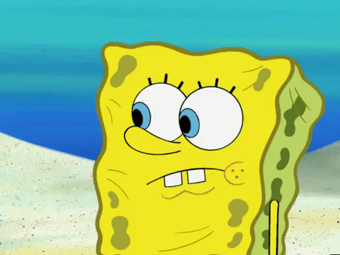 season 6 GIF by SpongeBob SquarePants